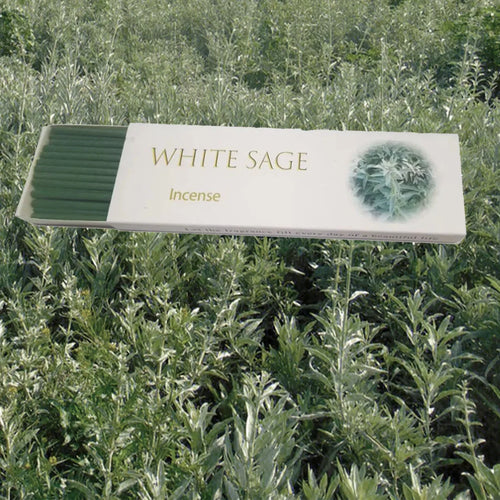 30 High-Grade Palo Santo Sticks, White Sage, Cedar, and Coffee-Scented