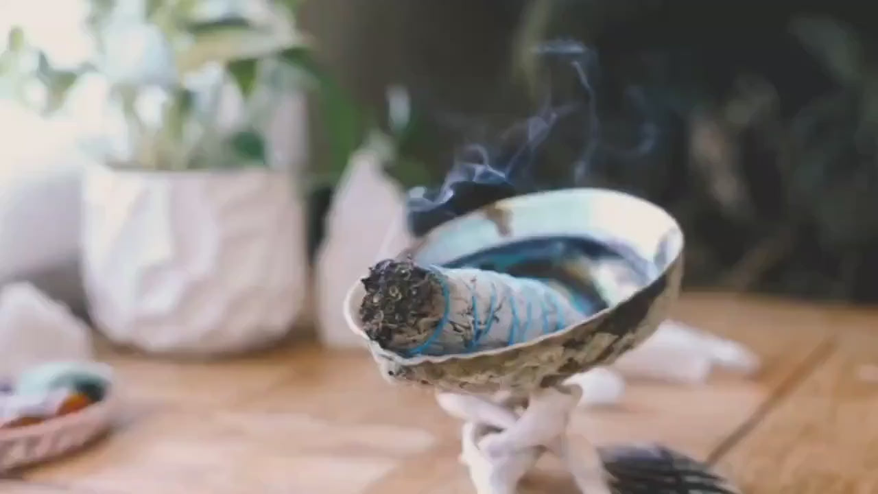 CLEANSING AND PROTECTION KIT